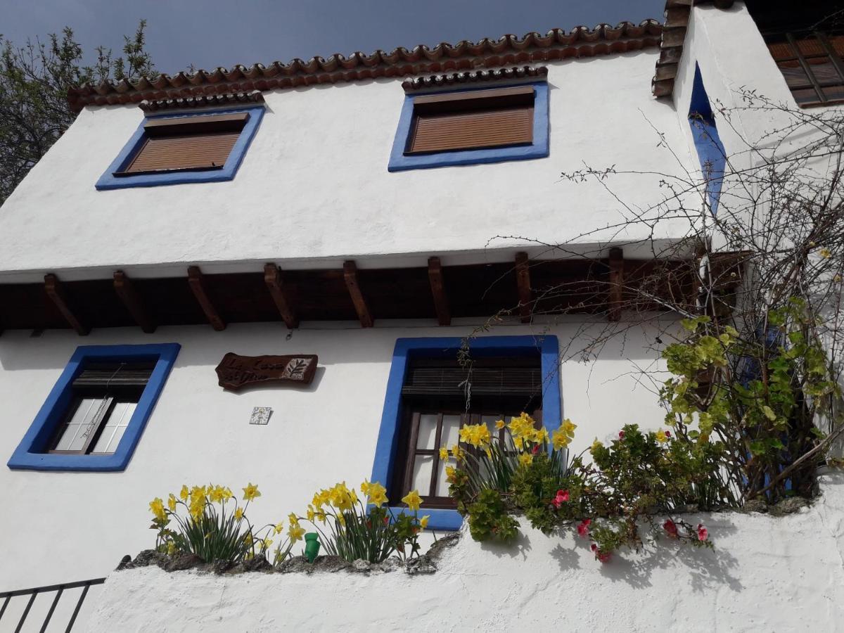 Casa El Olivo Benalauría Exterior foto